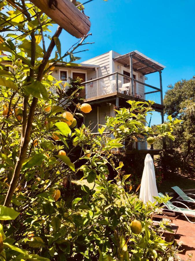 Malta Homestay José Ignacio Exteriör bild