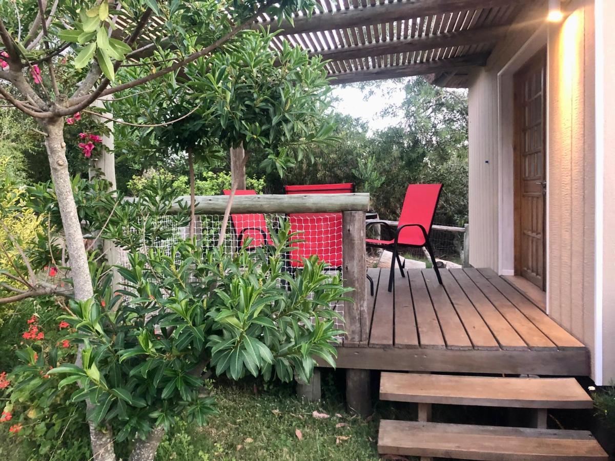 Malta Homestay José Ignacio Exteriör bild