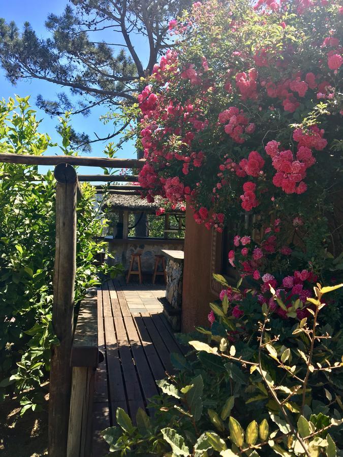 Malta Homestay José Ignacio Exteriör bild